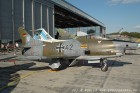 DSC_3567.jpg