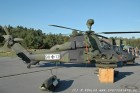 DSC_3595.jpg
