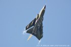 DSC_6007.jpg