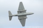 DSC_2560.jpg