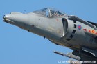 DSC_2784.jpg
