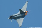 DSC_9237K.jpg