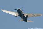 DSC_9652K.jpg