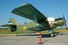 DSC_8781K.jpg