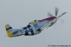 DSC_7967K.jpg
