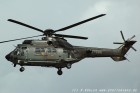 DSC_0305.jpg