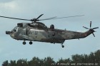 DSC_0384.jpg