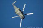 DSC_0054.jpg