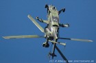 DSC_0072.jpg
