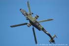 DSC_0103.jpg