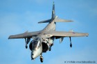 DSC_10640K.jpg