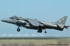 DSC_10995K.jpg
