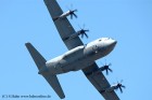 DSC_11194K.jpg
