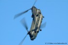 DSC_1337K.jpg