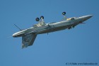 DSC_1365K.jpg