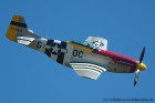 DSC_0727K.jpg