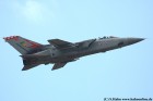 DSC_4613K.jpg