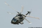 DSC_4467K.jpg