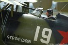 DSC_4926K.jpg