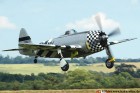 DSC_5305K.jpg