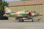DSC_1065.jpg