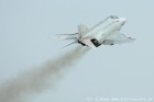 DSC_0464.jpg