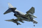 DSC_0647.jpg