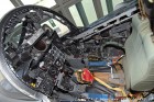 DSC_1164.jpg