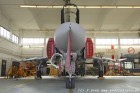 DSC_1232.jpg
