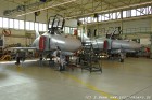 DSC_1146.jpg