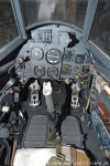 DSC_1462.jpg