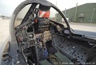 DSC_4022.jpg