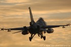 DSC_8881.jpg
