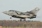 DSC_8288.jpg
