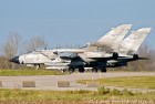 DSC2468.jpg