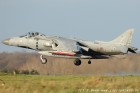 DSC_8146.jpg