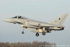 DSC_8388.jpg