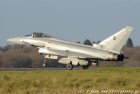 DSC_8396.jpg