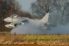 DSC2488.jpg