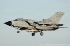 DSC_7985.jpg