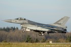 DSC_8411.jpg