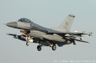 DSC_8237.jpg