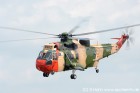 DSC_9778.jpg