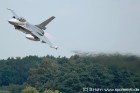 DSC_0333.jpg