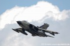 DSC_0527.jpg