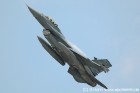 DSC_0874.jpg