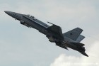 DSC_4431.jpg