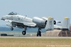 DSC_2039K.jpg