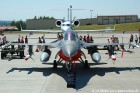 DSC_2121K.jpg