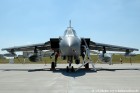 DSC_2241K.jpg